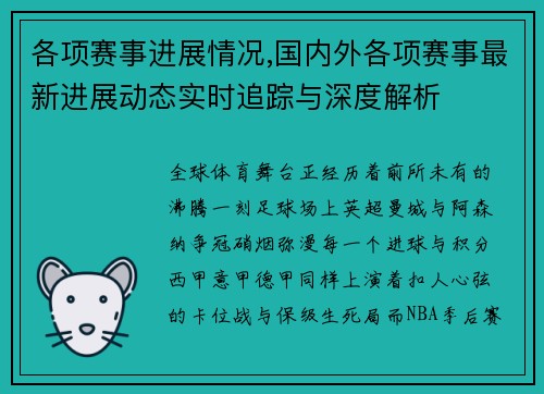 各项赛事进展情况,国内外各项赛事最新进展动态实时追踪与深度解析